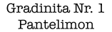 Gradinita Pantelimon